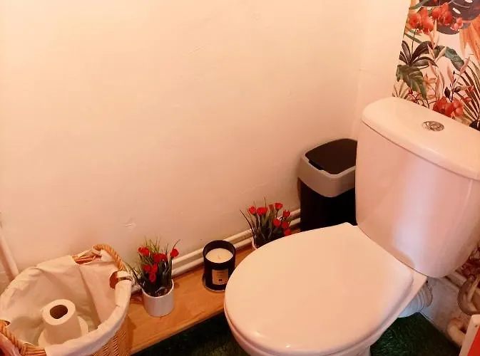 Appartement Le Naturel Hénin-Beaumont